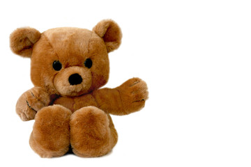A big, brown teddy bear