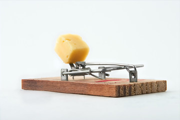 Alert mousetrap on a white background