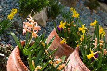 Three garden containers with spring blooming flowers