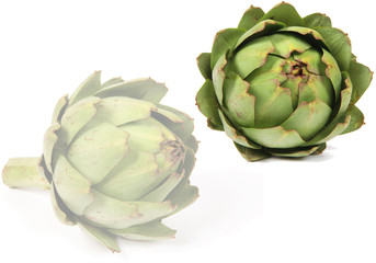 Obraz premium artichauts