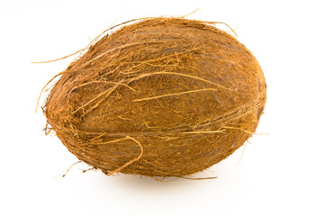Coconut isolated over white background