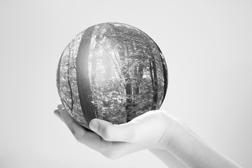 Terre main et foret écologie