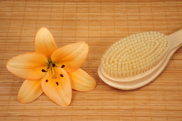 Naklejka premium Wellness