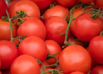 tomatoes