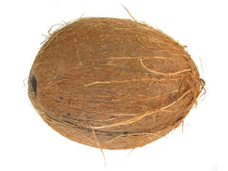 Coconut isolated on white background