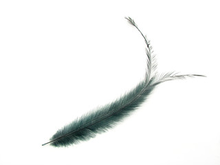 Feather