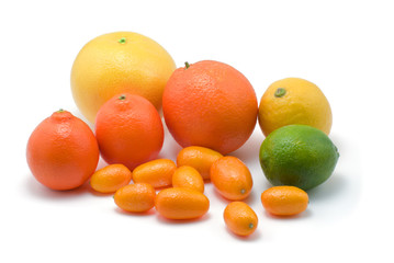 kumquats, lime, lemon, orange, grapefruit on white
