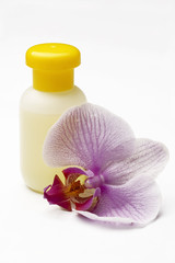 spa scenery with orchid