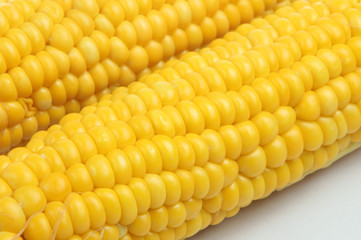 Sweetcorn on the cob