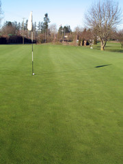 Fototapeta premium golf course green