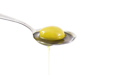 olio ed oliva