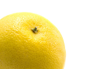 isolated single, grapefruit on white background