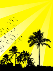 sommer und palmas © Bedridin Avdyli