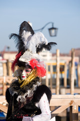 Venice, note on head