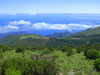 Fototapeta na wymiar Madeira ponad chmurami