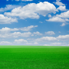 Green spring field covered by a grass and the beautiful blue sky