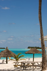 thatched sunshade on a tropical beach in the Bahamas