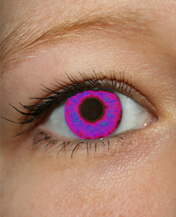 Violettes Auge