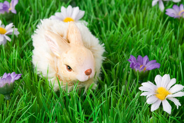 Green field with small flowers and a bunny 