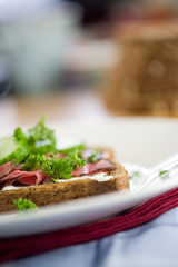 Delicious healthy sandwich (shallow dof) 