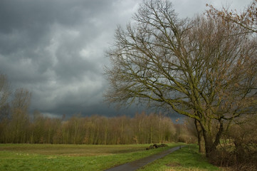 Stormy clouds over a dutch forest, autumn 2007