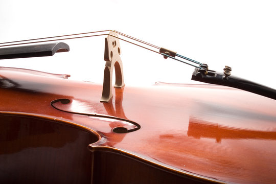 Cello