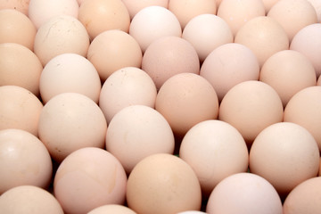 A plenty of eggs