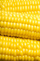 Sweet corn
