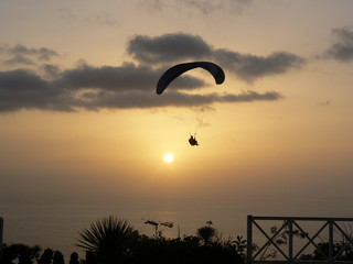 Fliegen  in der Abendsonne