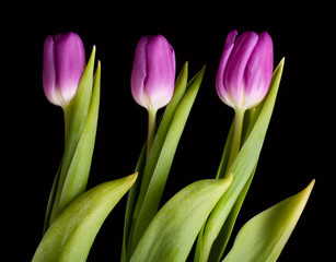 Spring bouquet