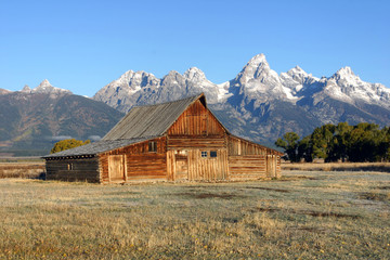 Fototapeta na wymiar Mormon Barn Sits Below Grand Teton Mountains