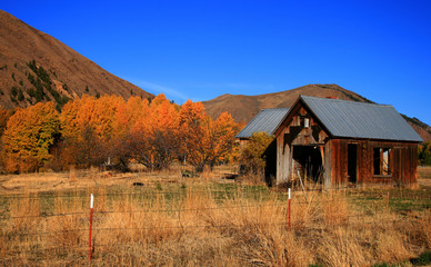 Rustic Autumn