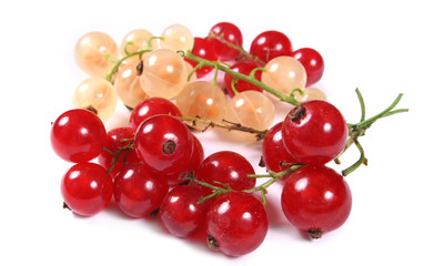 Fresh red and white currants
