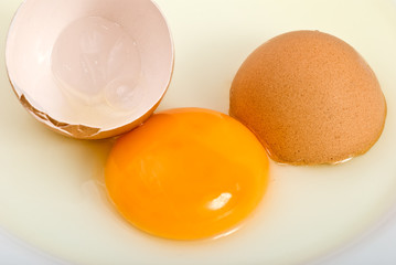 broken chicken egg