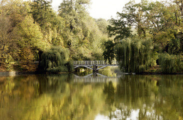Fototapeta premium The wooden bridge