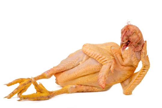 lying nude chicken