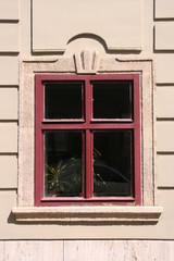 Window