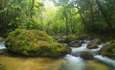 Tropical Mountain Waterfall and River
