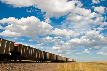 cargo train disappears into the distance under a cloudy sky