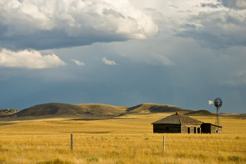 Abandoned Homestead