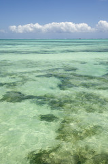 Fototapeta premium idyllic horizon