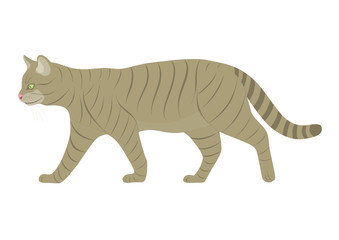 Katze(www.fertig-unterricht.de)