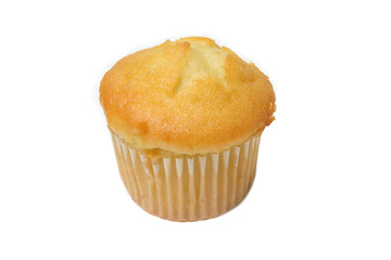 Blueberry muffin