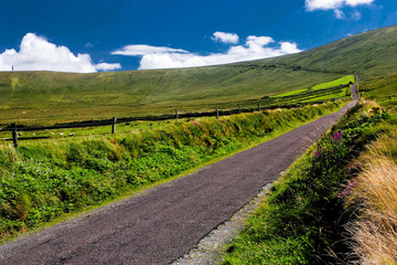 Fototapeta na wymiar Route de campagne menant sur une colline