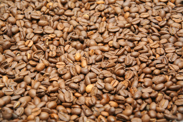 Kaffeebohnen