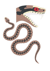 Kreuzotter(www.fertig-unterricht.de)