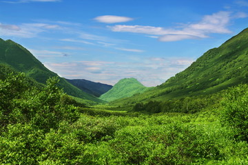 Obraz premium Green hills