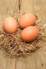 Eggs on straw