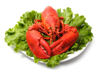red lobster