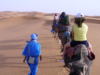 excursión por el desierto
